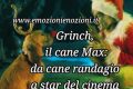 Grinch, il cane Max: da cane randagio a star del cinema