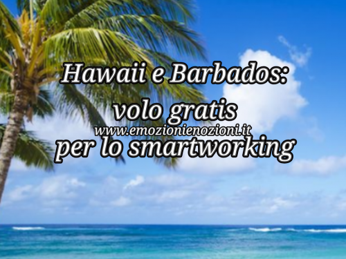 Hawaii e Barbados: volo gratis per lo smartworking