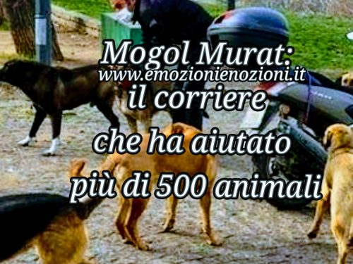 Mogol Murat: il corriere che aiuta gli animali