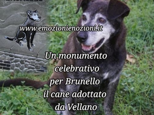 Monumento per Brunello: il cane adottato da Vellano