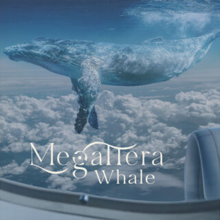 Whale è il singolo di debutto dei Megattera
 