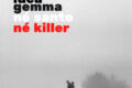 Luca Gemma, il nuovo singolo Nè Santo nè killer, intervista:"quasi niente mi cura e mi dà la gioia che mi riesce a dare la musica"