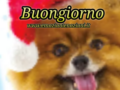 5 Dicembre 2022 – immagini buongiorno