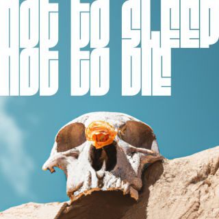 “Not to sleep, Not to die” è il nuovo album dei Monday Proof, pubblicato in collaborazione con Sorry Mom!