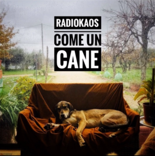 "COME UN CANE", IL NUOVO SINGOLO DI RADIOKAOS
OUT DAL 27 GENNAIO