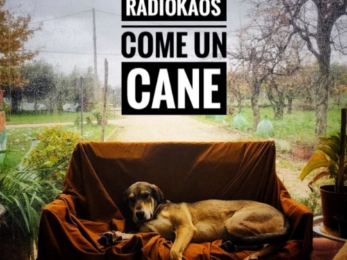 “COME UN CANE”, IL NUOVO SINGOLO DI RADIOKAOS OUT DAL 27 GENNAIO   