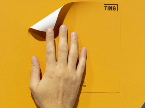 Ting: la PMI italiana, che sta rendendo smart il mondo delle vernici con le tinte attacca-stacca