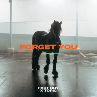 FAST BOY, TOPIC – Forget You (Radio Date: 24-02-2023)