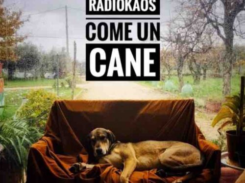 COME UN CANE – IL NUOVO SINGOLO DEI RADIOKAOS