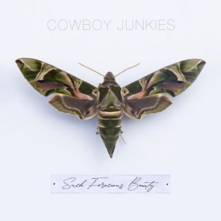 Cowboy Junkies – Shadows 2 (Radio Date: 24-05-2023)