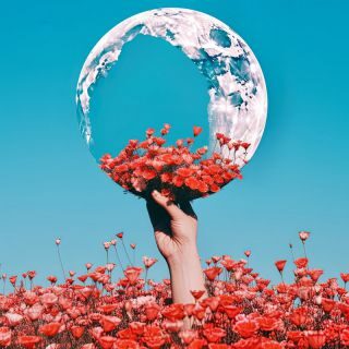 “Fiore Sulla Luna” è il nuovo singolo di Federico Rossi in uscita l’1 settembre: un invito a non smettere mai di sognare