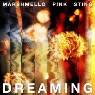 “DREAMING” il nuovo singolo dell’artista e producer multiplatino MARSHMELLO insieme all’icona pop globale P!NK e al 17 volte vincitore di GRAMMY Award STING
