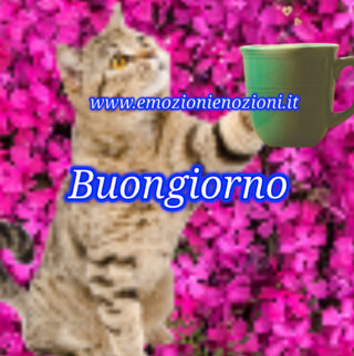 9 Maggio 2025: immagini buongiorno, buon venerdì