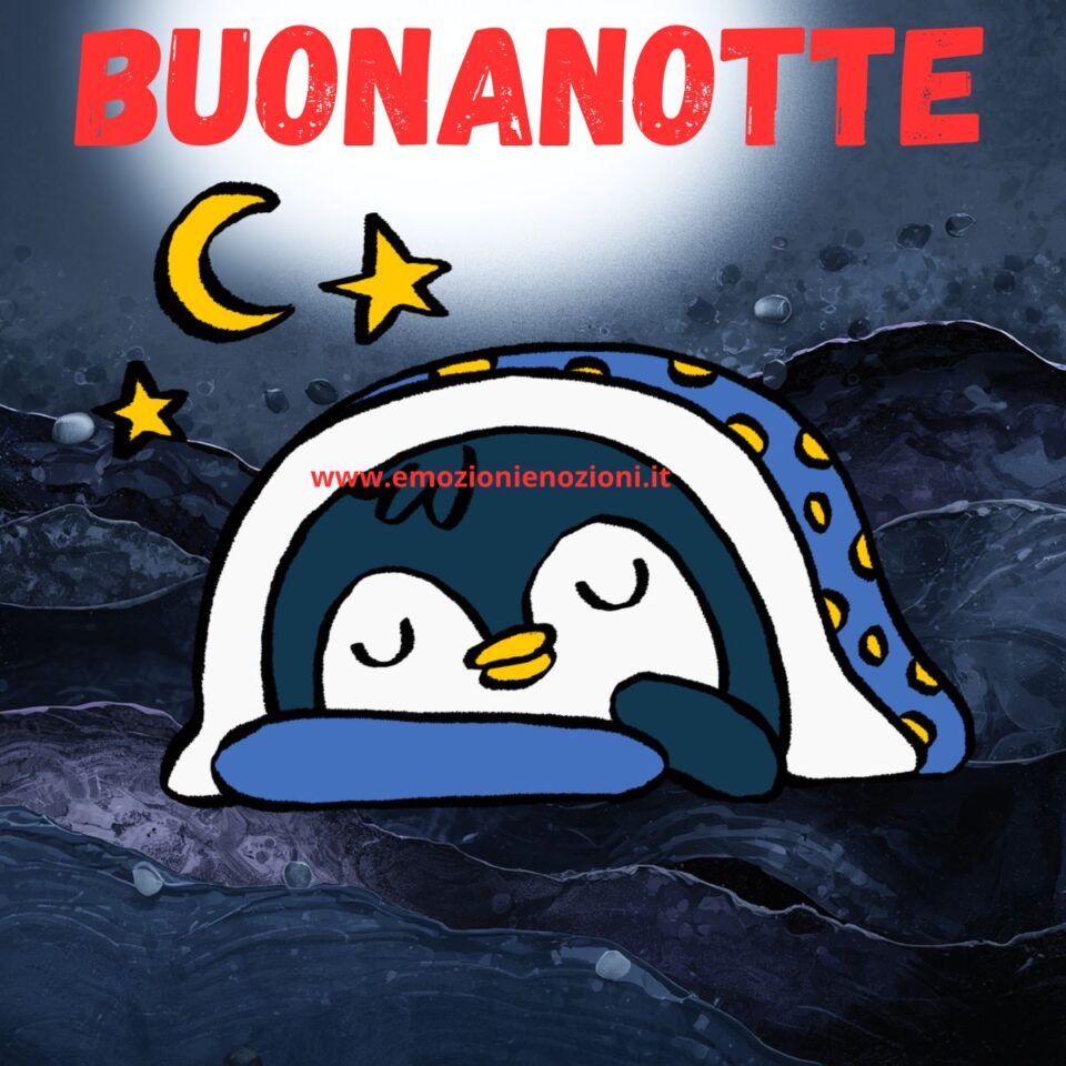 Buonanotte domenica 22 febbraio 2026 pinguino che dorme sotto le stelle.