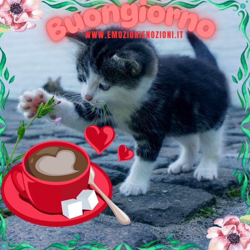 Buongiorno sabato 28 febbraio 2026 gatto bianco e nero con tazza di caffè fumante
