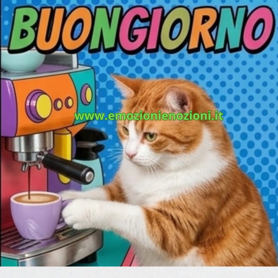 Buon Martedì 17 Marzo 2026