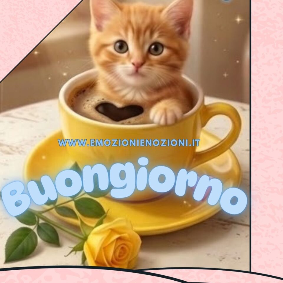 Buon Martedì 24 Marzo 2026