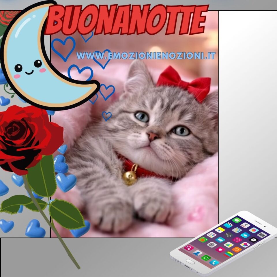 Buonanotte 31 Marzo 2026