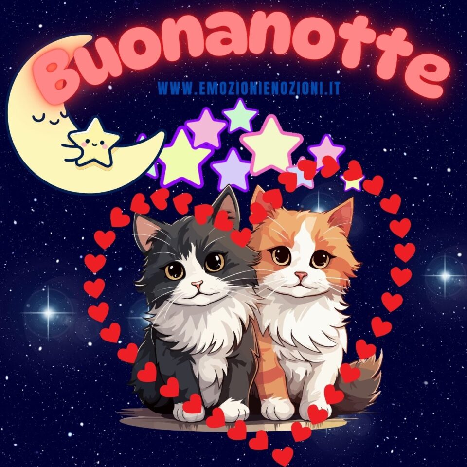 Due gattini teneri si scambiano un saluto per la buonanotte domenica 1 marzo 2026 in un cuore rosso.