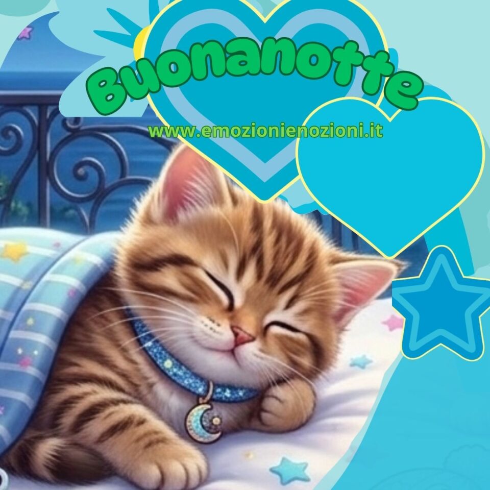Buonanotte venerdì 13 marzo 2026